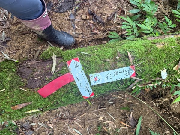 頭城火車站-頭圍山-礁水坑山南峰-礁水坑山-鶯子嶺2867053