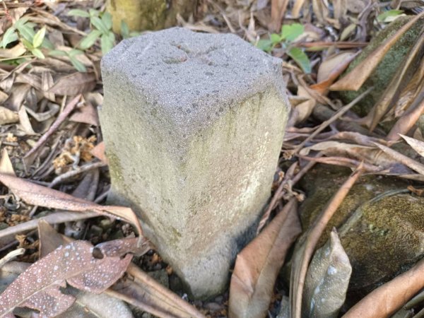 20230129台中太平大湖桶山2011029