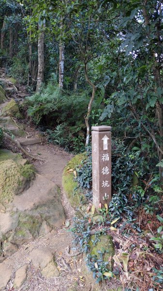 20230120_三峽_鳶山登山步道_五十分山2001596