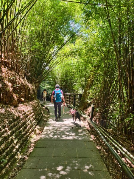 帶著毛孩去爬山-202508172866658