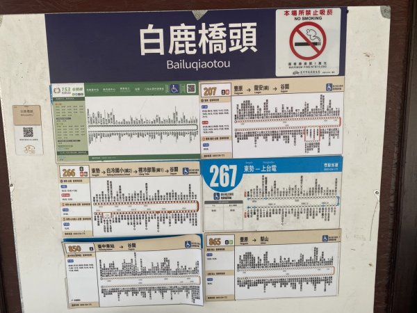 白毛山