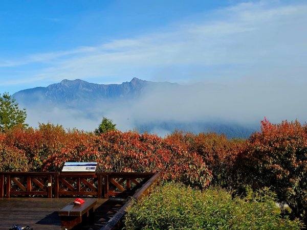 台灣難抵極與祝山觀日步道(小笠原山) - 2024嘉遊好步道．來嘉走走2670120