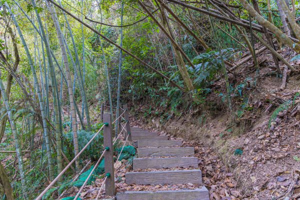 [南投]後尖山3015579