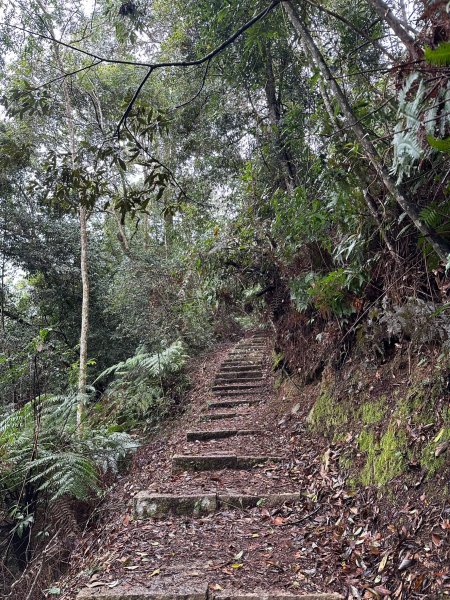 很硬的水社大山很幸運看到大景2388168