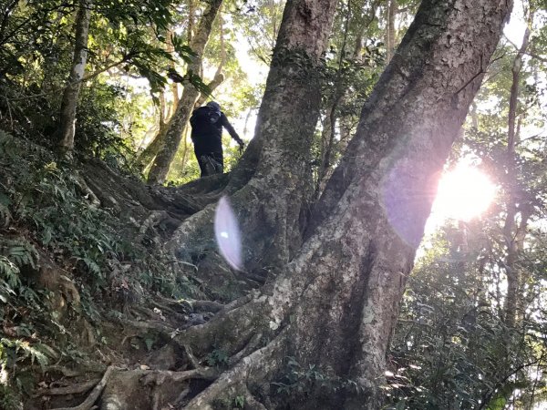 雪霧鬧健走夫婦山514309