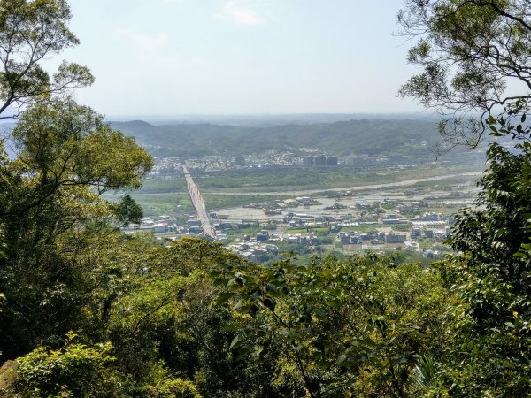 新竹飛鳳山(中坑山)小百岳880248