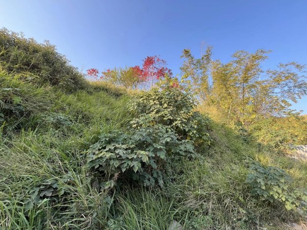 知高圳步道2711647