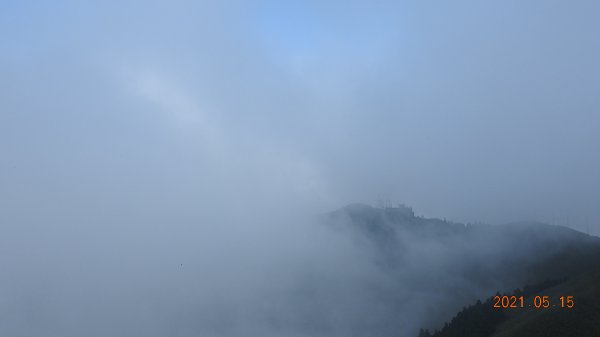 再見觀音圈 - 山頂變幻莫測，雲層帶雲霧飄渺之霧裡看花 & 賞蝶趣1387537