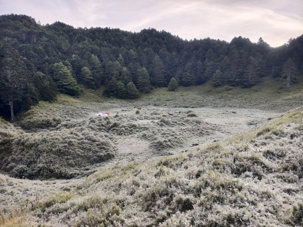 被撒下糖霜的甜甜圈谷