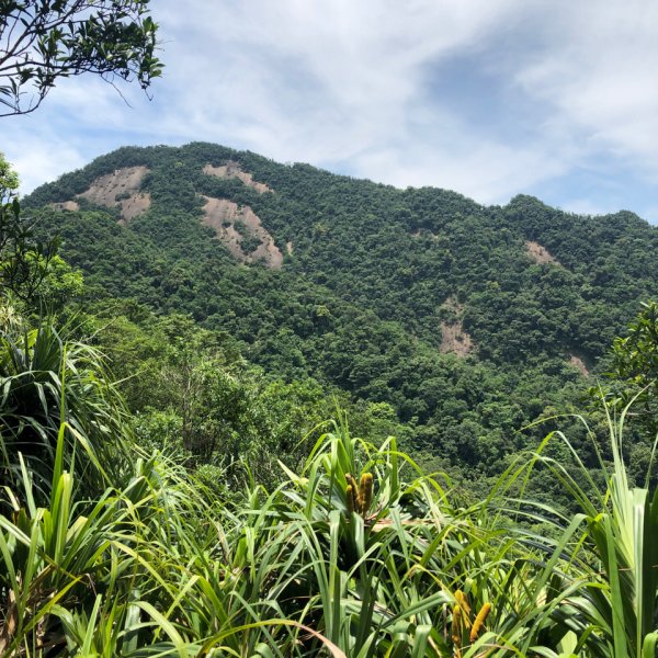 臭頭山 到 東勢格山1009254