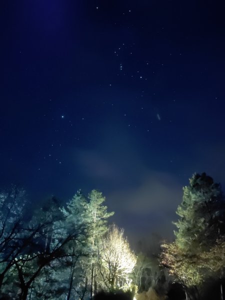 20250228 桃山+池有山2919194