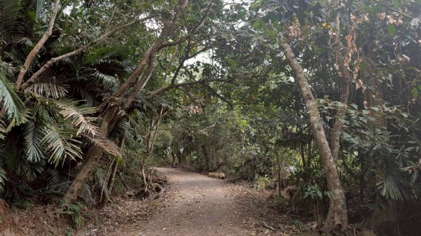 崁頭山步道3002471