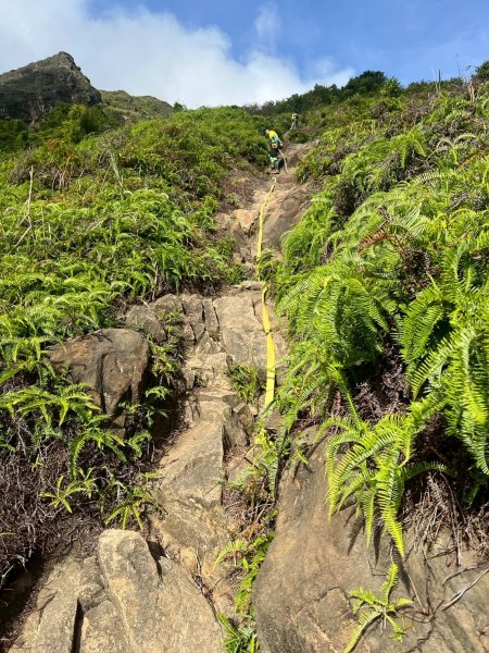 南雅安檢所-南子吝-小錐麓-保羅池-台糖-明隧道-南雅安檢所2894154
