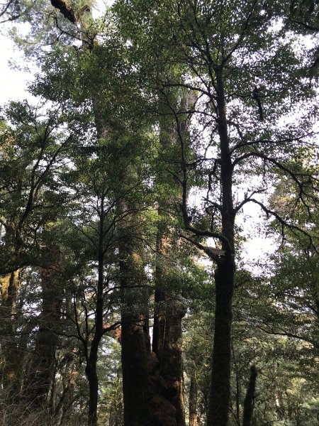 霞喀羅大山,佐藤山順訪佐藤駐在所1324648