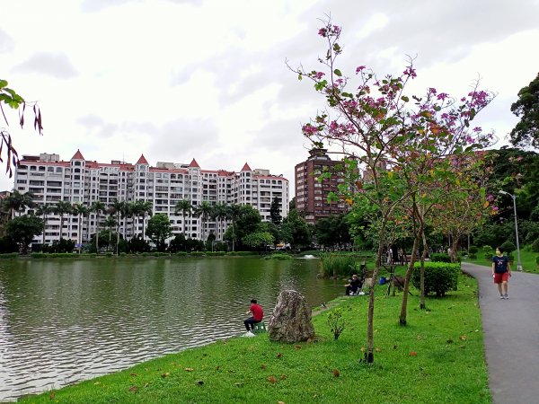 碧湖公園環湖步道