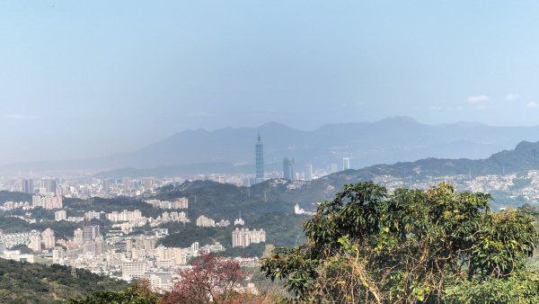 肆方巖…四面頭山…十六分山…鵝角格山2426143