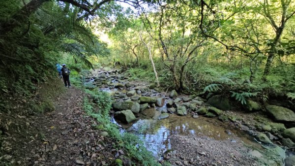 【淡蘭古道中路】崩山坑古道全段＆虎豹潭野餐2572637