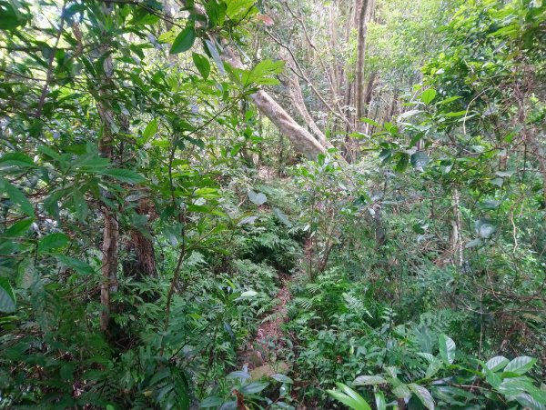 暗影山 小百岳 三等三角點4181690851