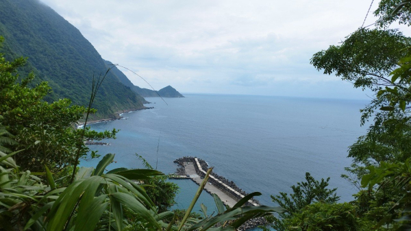 意外收穫一望無際荷花田，火車同框的絕美畫面∥朝陽國家步道
