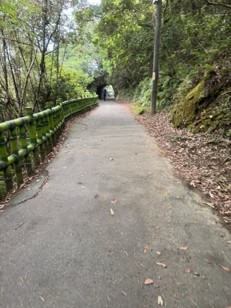 鶯歌石步道小O型路線3036056