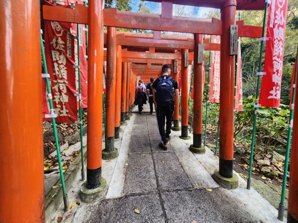 20251128橫須賀軍港遊船+鎌倉大佛步道2962730