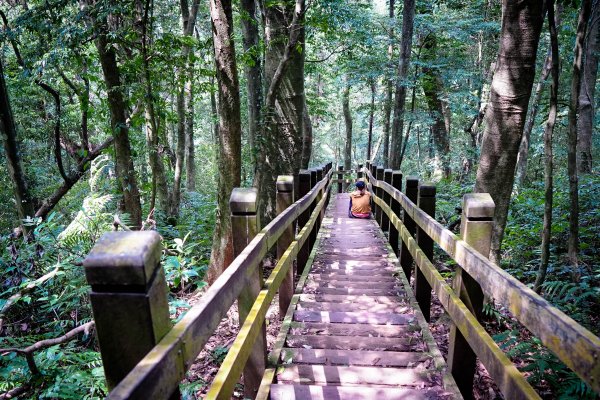 苗栗大湖鄉 馬那邦山938266