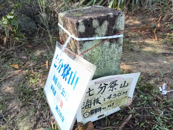 基隆市界寮縱走之七分寮山+友蚋山+印地安頭像+七汐農路O型2967941