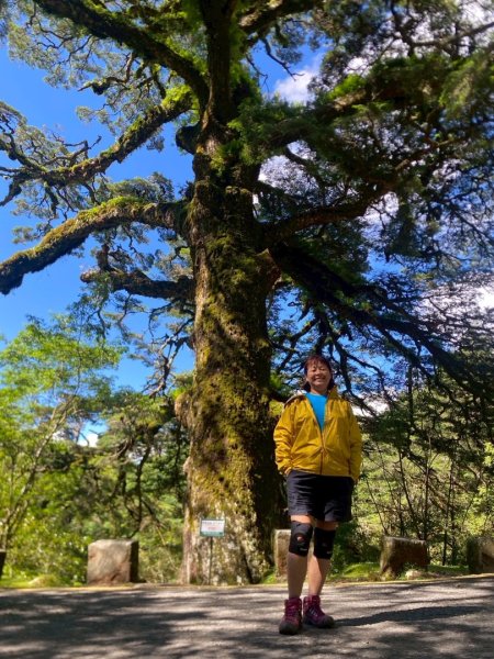 南投信義鄉東埔山、東埔山草原步道、塔塔加遊客中心2815152