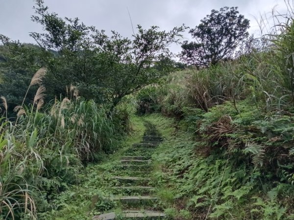 瑞芳區基隆山步道O型3010163