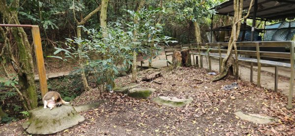 阿哲/小黑3031504