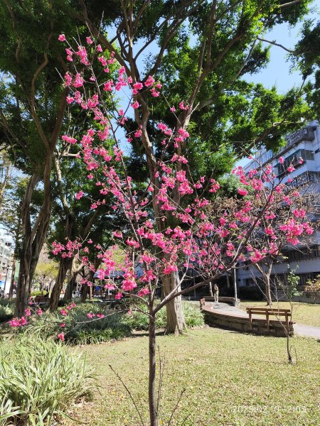 大港墘公園、港墘公園、梘頭福德祠、港墘福德廟2710946