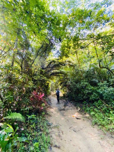 1090628嘉義紅毛埤山步道1012033