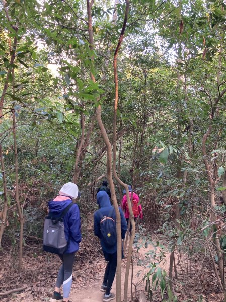 火炎山登山步道2386032