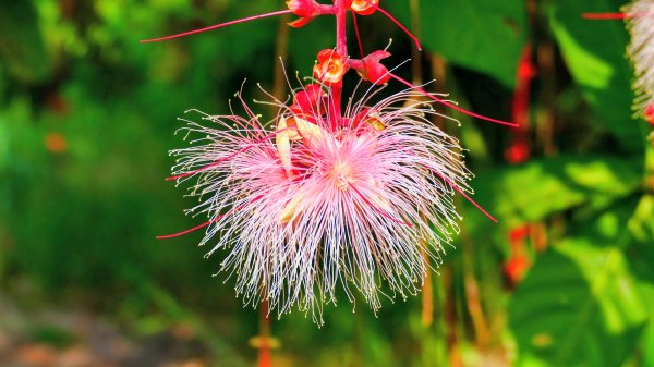 大社觀音山湖2954907