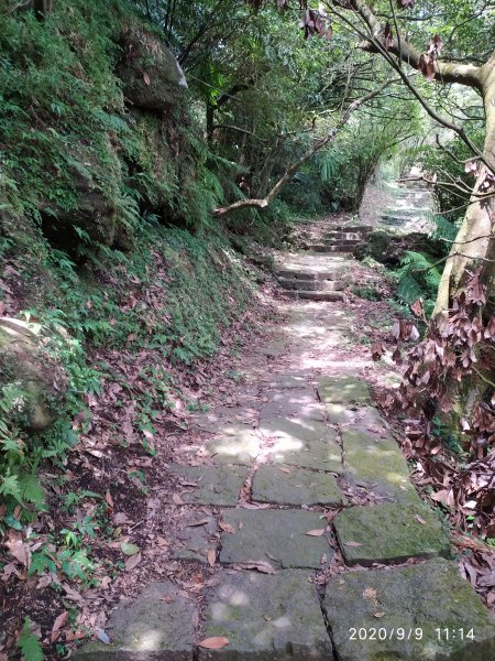 七星山系 夢幻湖步道1096501