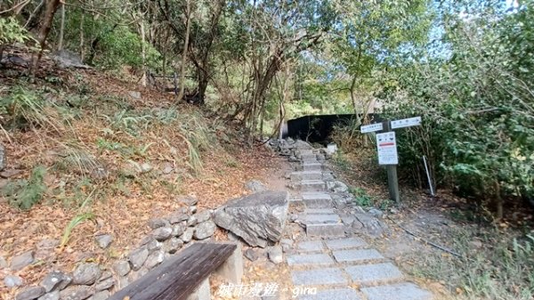 【台中和平】捎來步道x2025山谷燈光節2957988