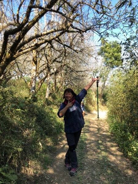 竹子尖山到獵鷹山473236