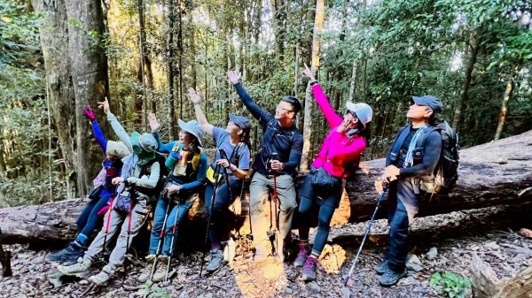 🌈11/15（六）松鶴上八仙山下森林遊樂區✨FB：熊熊趴爬走🌈2937688