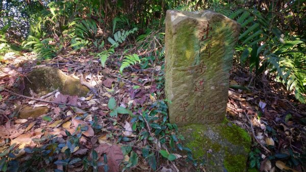 出關古道關刀山步道1584794
