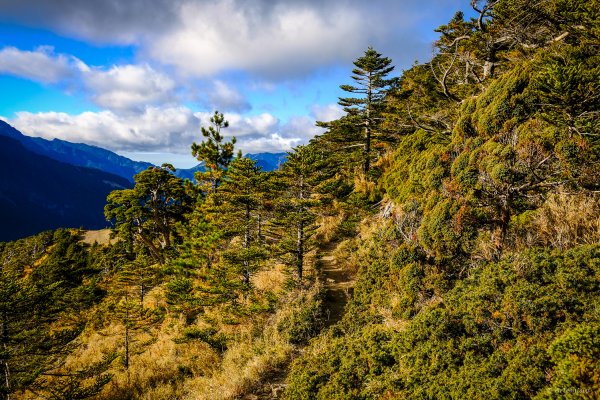 [冬訪大霸聖山岳參行]-榮耀桂冠B'bu' Papak聖稜精選輯2974792