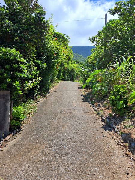 蘭嶼三日遊D2---大天池步道+紅頭森林生態步道+乳頭山步道+情人洞步道202307092217071
