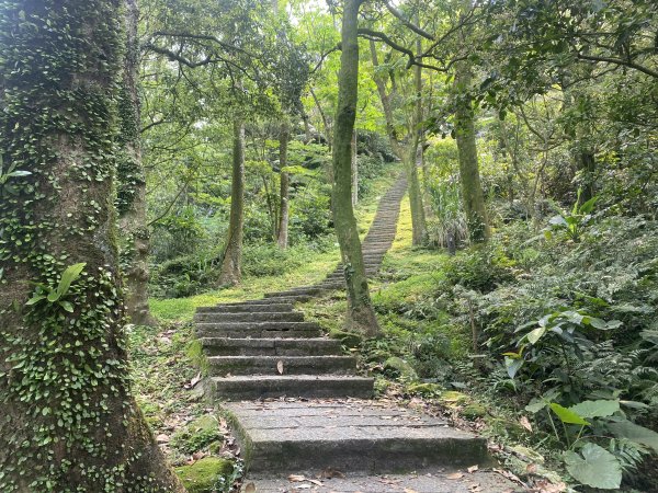 《城市與山的交界線｜大尖山連走四分尾山》O繞路線＋秀峰瀑布＋遇見養蜂人🐝3056643