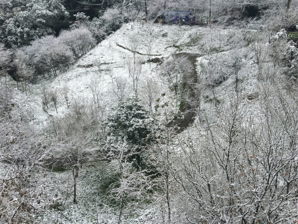 羅馬公路銀白雪景29736