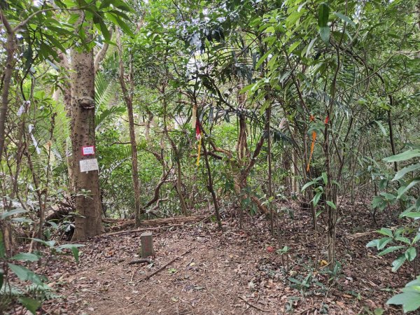 2023.12.27 大溪金面山2839308