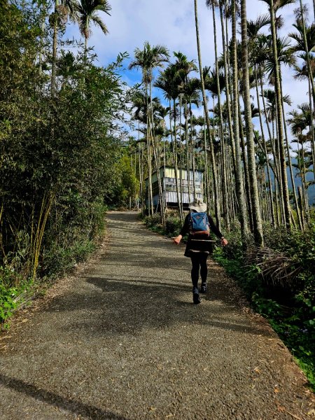 雲嘉大尖山、二尖山步道--(雲林)臺灣百大必訪步道2955778