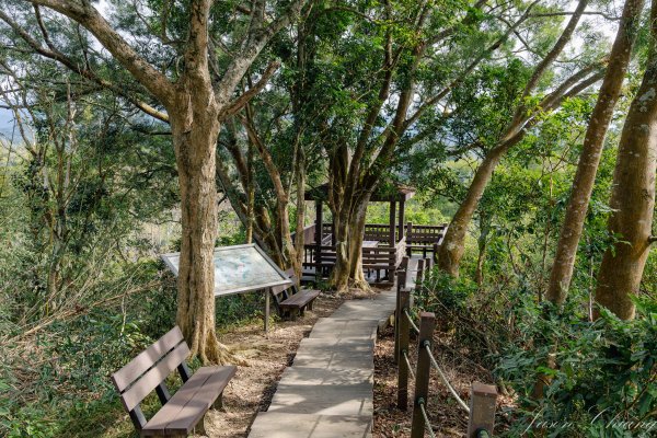 [台中]聚興山2703792