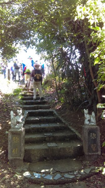 【小百岳集起來】#007 基隆紅淡山步道1093358