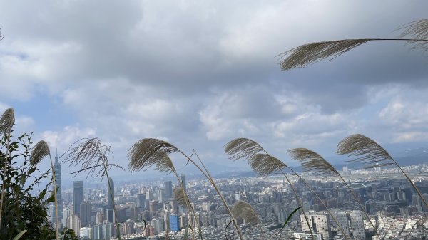 台北縱走第六段之不完整版～ 中華科技大學至和興碳坑2391243