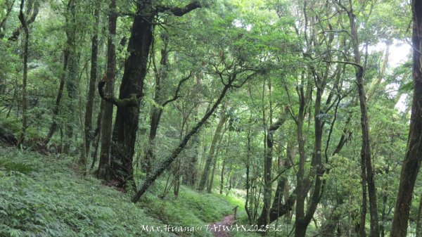 《雲林》望好望角｜石壁山嘉南雲峰步道(中側登山口）202506072805522