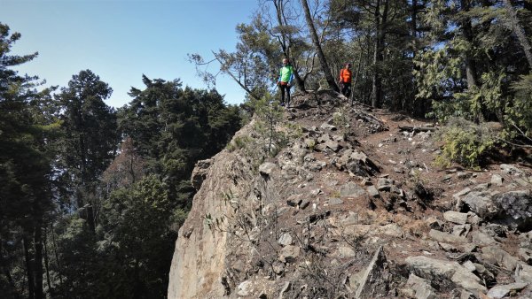 山行漫遊郡大林道上的清水金子郡大三美山1341634